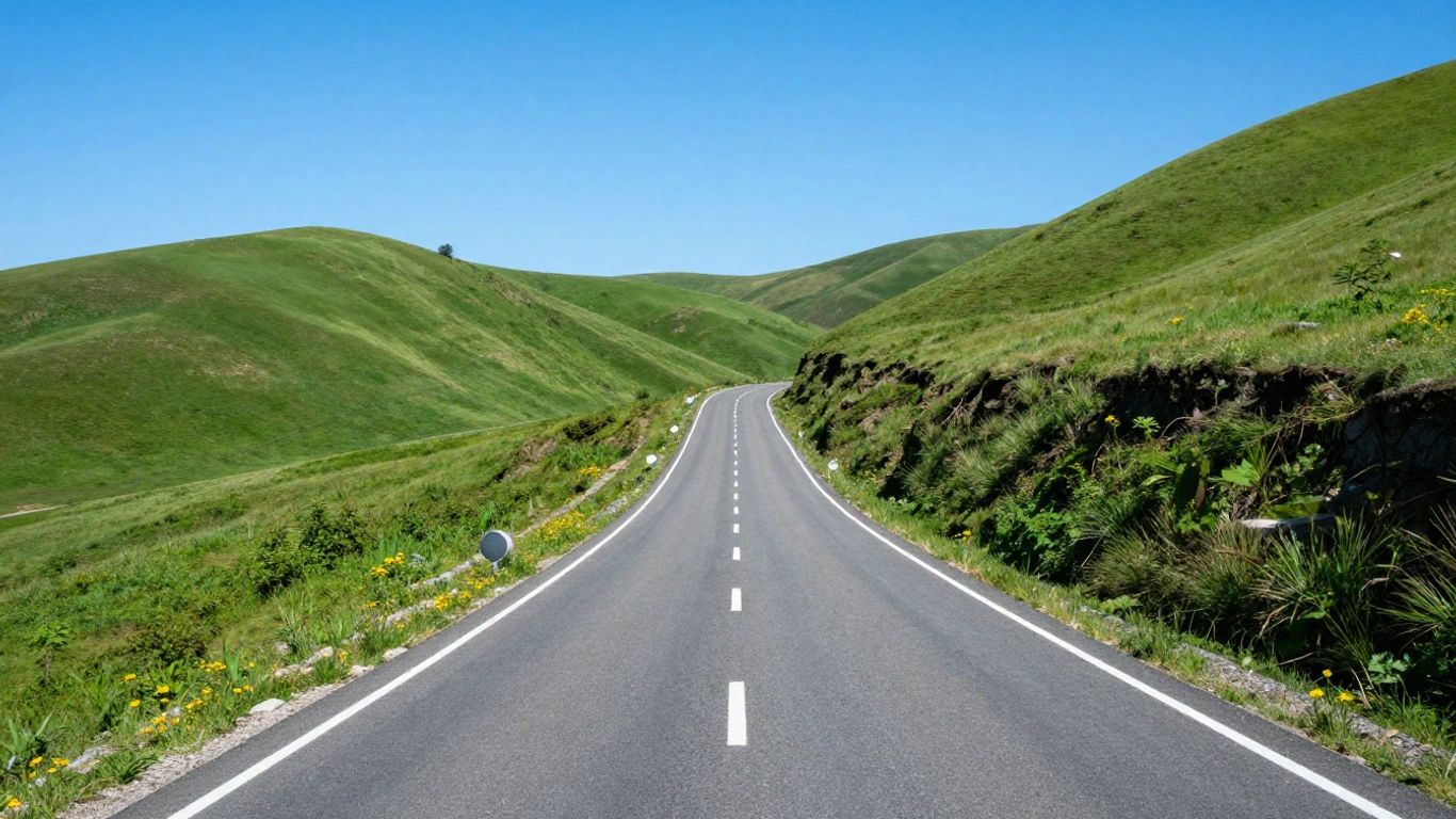Defensive Driving Tips for New Drivers: A Starter Guide